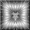 Image1.gif