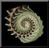 thumb-JamieReid-snail.jpg