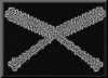 chromosome-bw.gif