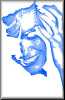 thumb-joker.jpg