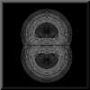 thumb-luminous-egg-Oper15.jpg