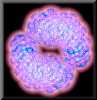 thumb-pattern-Clip15.jpg