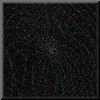 thumb-seeing-Image12.jpg