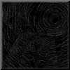 thumb-seeing-Image21.jpg