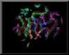 thumb-space-time-fabric.jpg