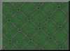 thumb-spin5-bg.jpg